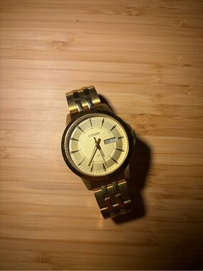Citizen Gold and Champagne Men's Bracelet Watch